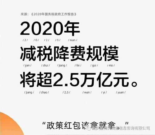 一站式企业服务 从工商注册到软件开发的全方位解决方案
