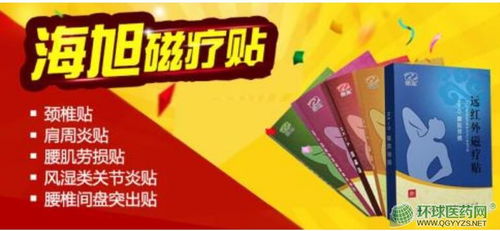 第23页 处方药招商代理、药品分类与功效及软件开发的整合策略